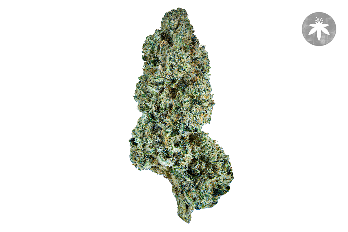 JET FUEL OG PREROLL 1G The Flowery