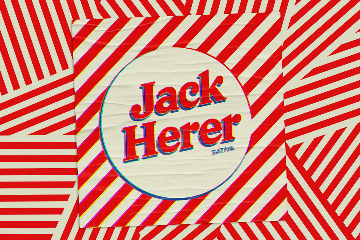 【Sativa】 Jack Herer 1ml CBD 05 Jack Herer Eighth - The Flowery Shop