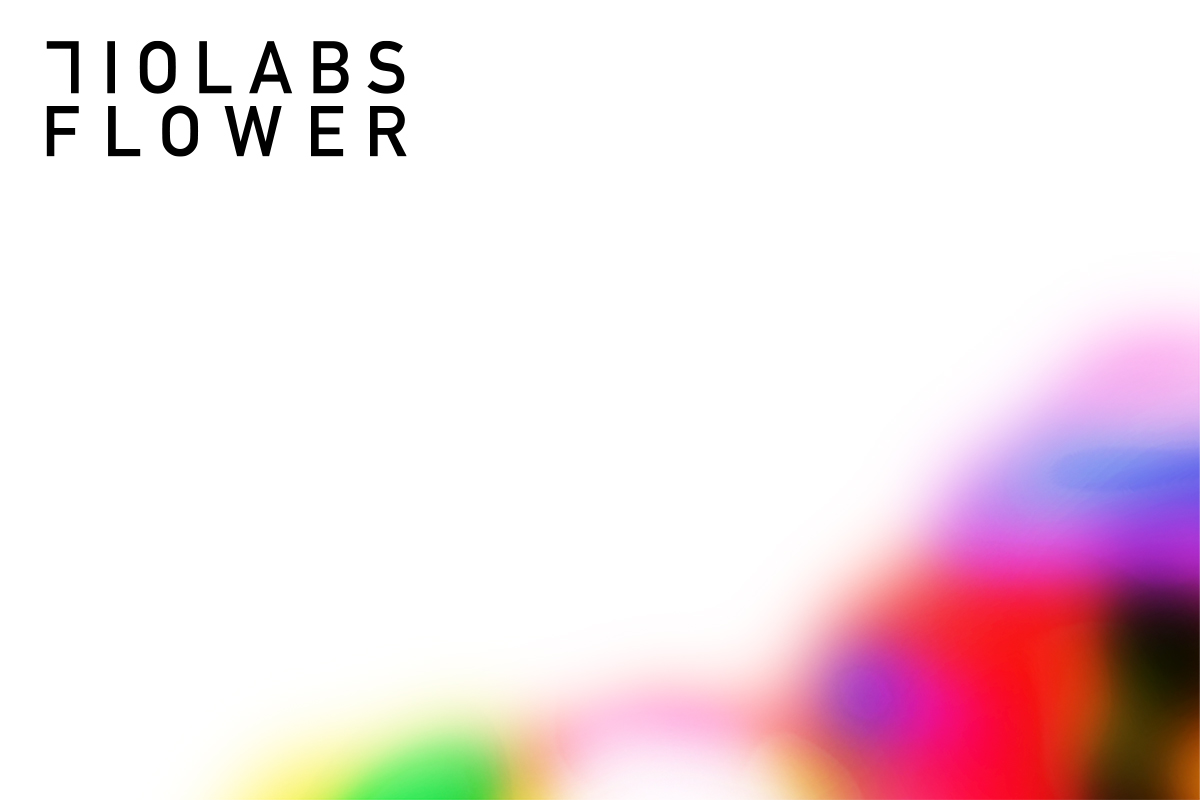 710 Labs 14g Flower - Z - The Flowery Shop