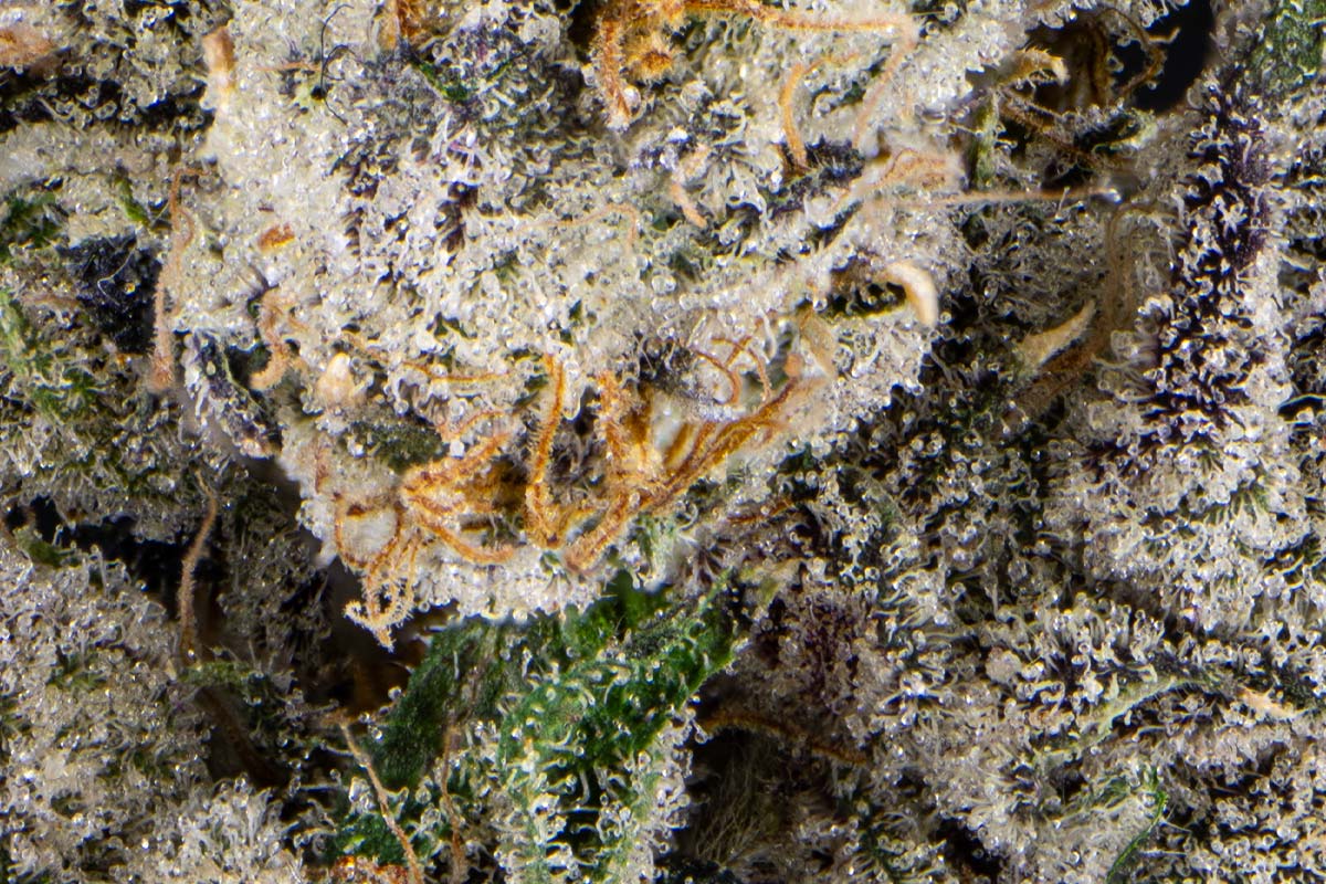 elfbar nachfüll pod läuft aus Bubblegum Gelato Eighth