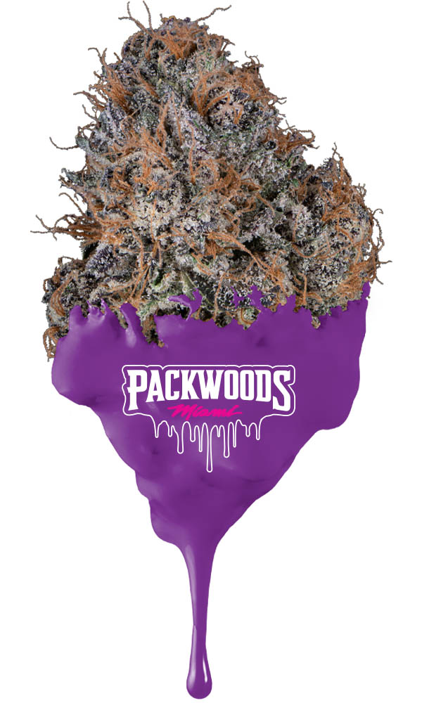 JOKERZ EIGHTH - The Flowery Shop