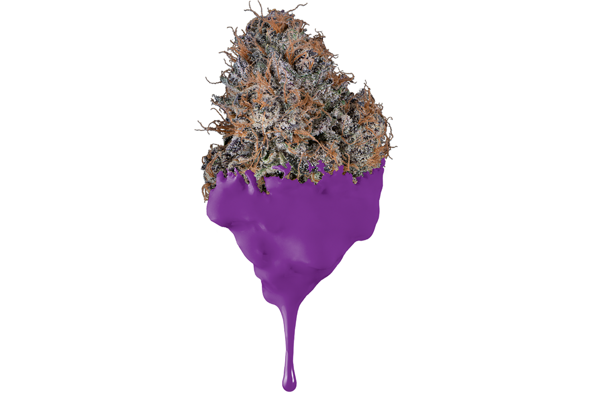 ロッド D-JOKER & ERUZA#8 JOKERZ EIGHTH - The Flowery Shop