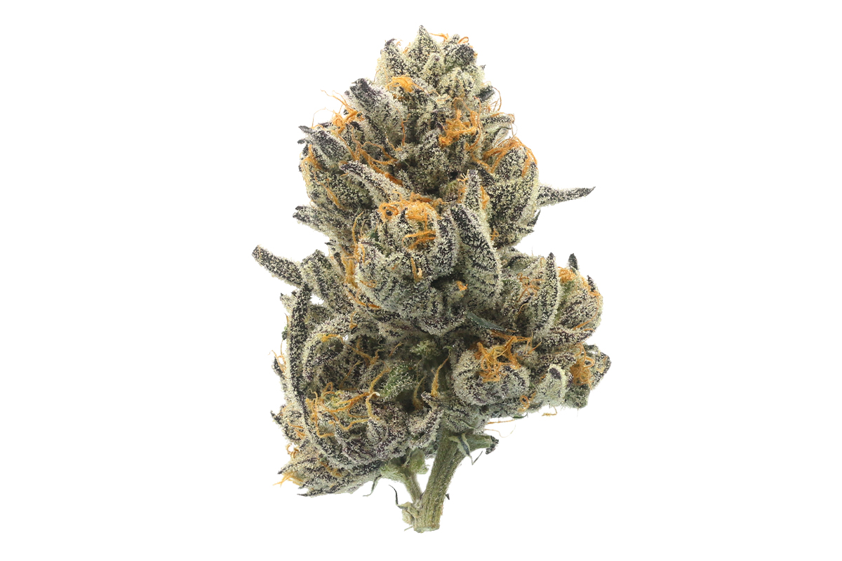 710 Labs Noodle Doink 1G - Skywalker OG - The Flowery Shop