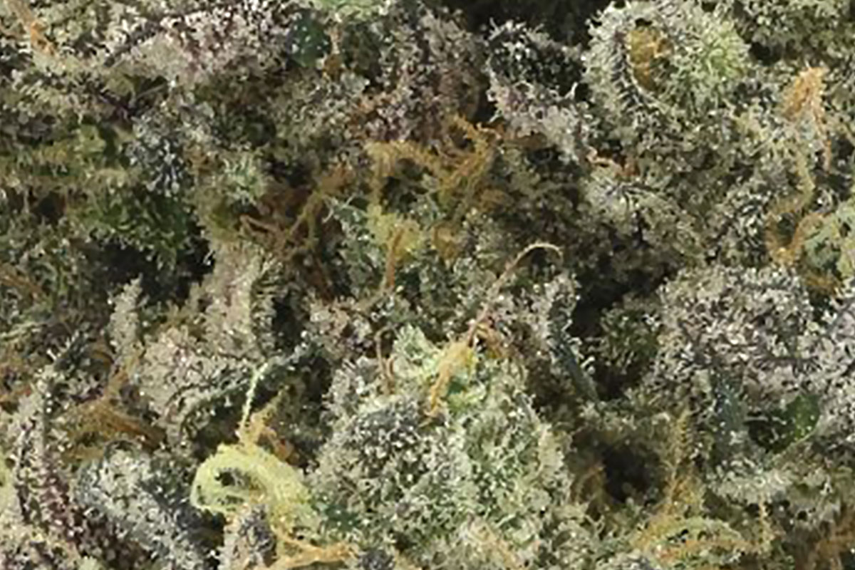 710 Labs 14g Flower - Ztan Lee #5 - The Flowery Shop