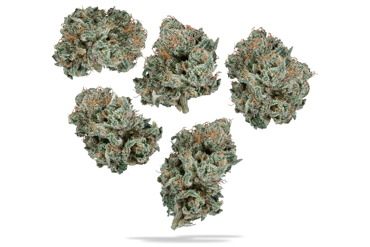 Og Kush Blend Single | Noble Herb