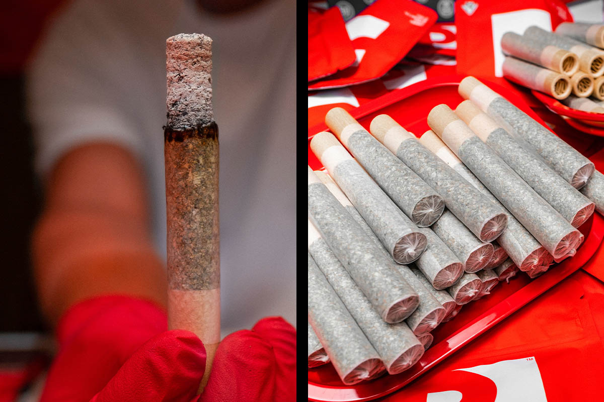 Preferred Gardens Handroll 2G - Zangria - The Flowery Shop