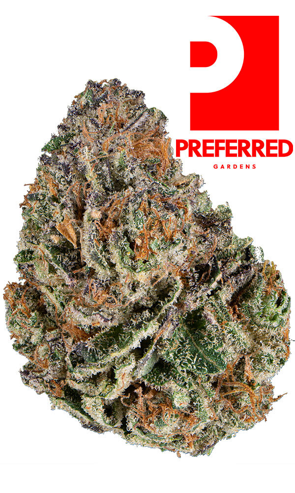 【Sativa】 THXE Lemon Meringue 1ml CBD 01 Collective - Billerica