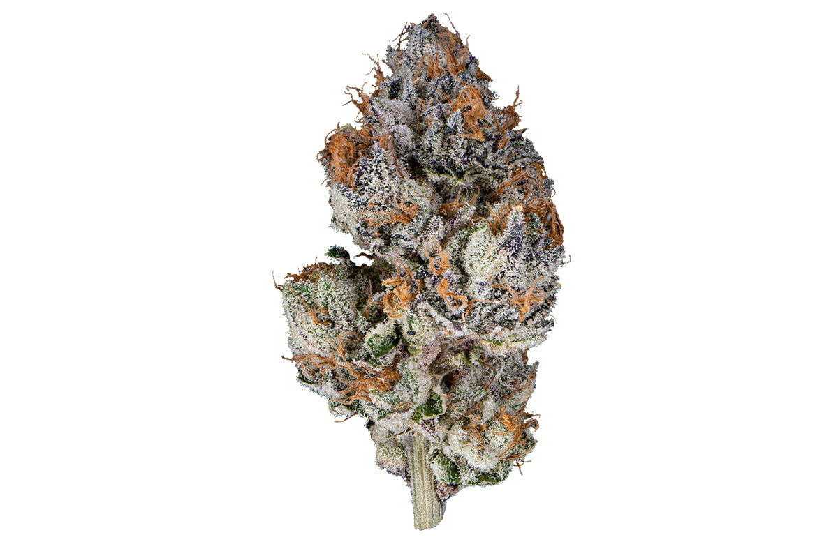 【Sativa】 THXE Lemon Meringue 1ml CBD 01 Sativa】 THXE Lemon Meringue 1ml CBD 01（Lemon Meringue Pie
