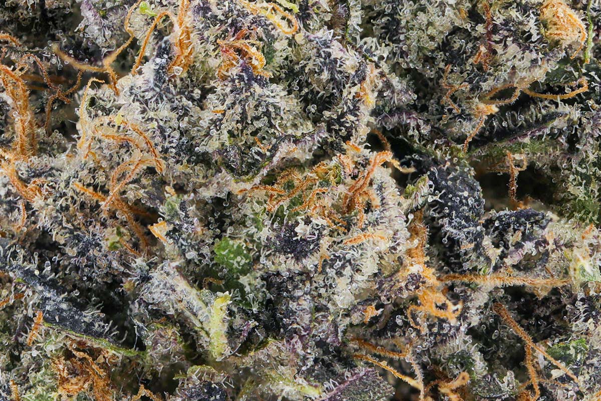 710 Labs 3.5g Flower - Jackson Heightz - The Flowery Shop
