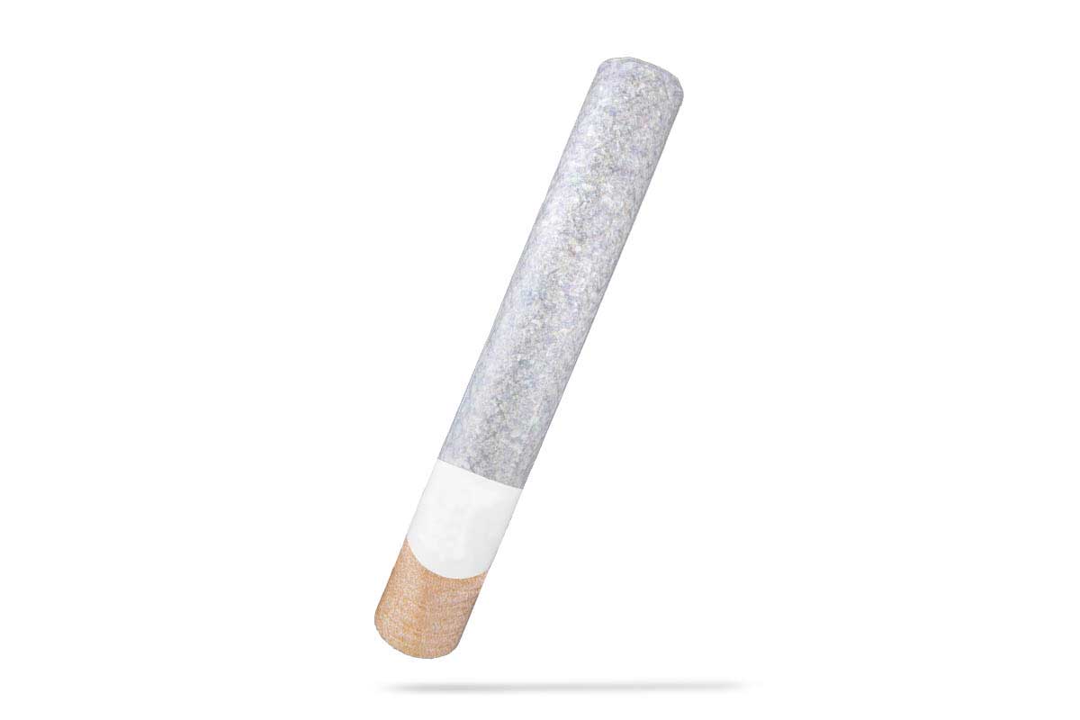 バブルアーティスト260 シークレットホワイト ダブルグロー新品 SD Handroll 2G - Mega Z Red - The Flowery Shop