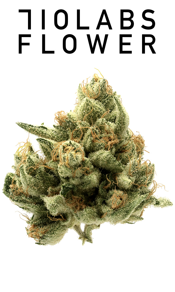 710 Labs 3.5g Flower - Z Cubed #5 - The Flowery Shop