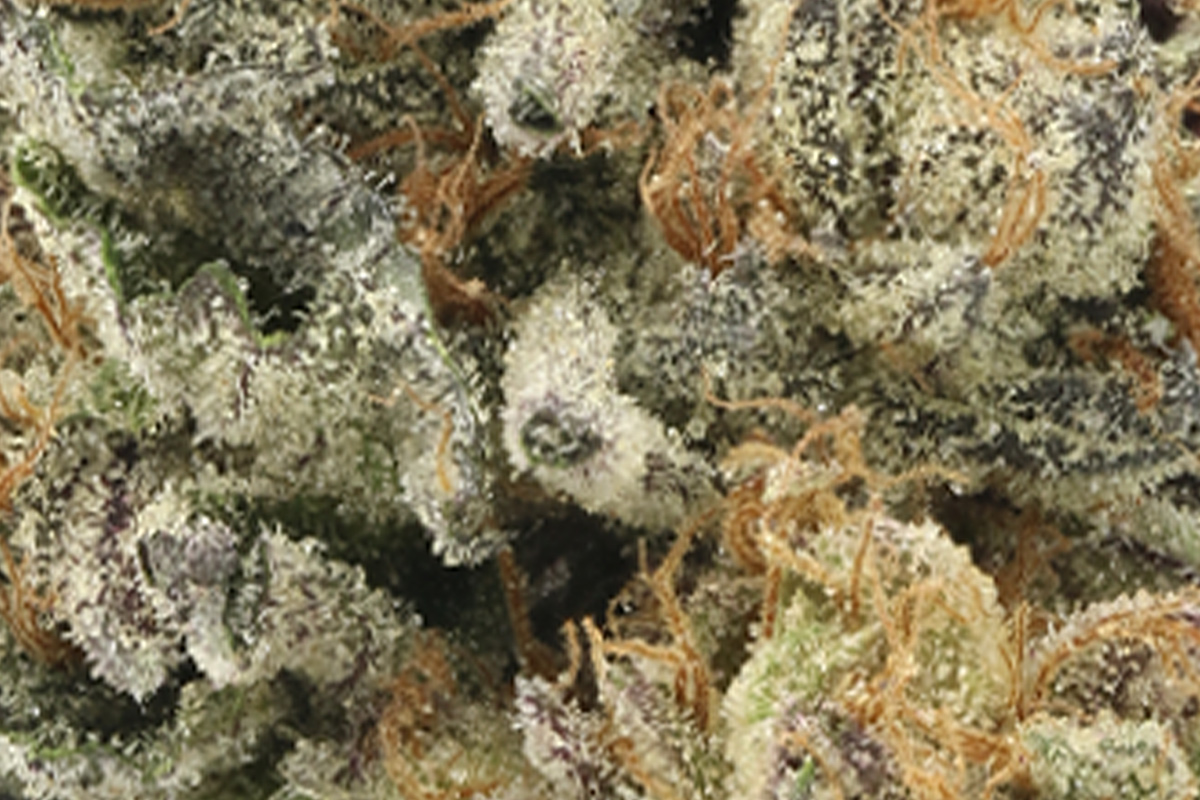710 Labs 14g Persy Flower - Cherry Zest #4 - The Flowery Shop