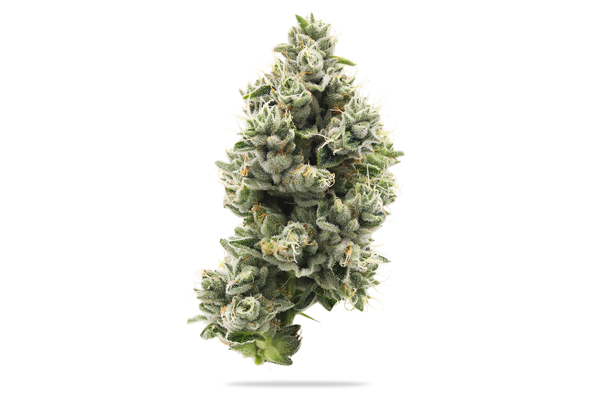 710 Labs 3.5g Flower - The Sweeties #7 - The Flowery Shop