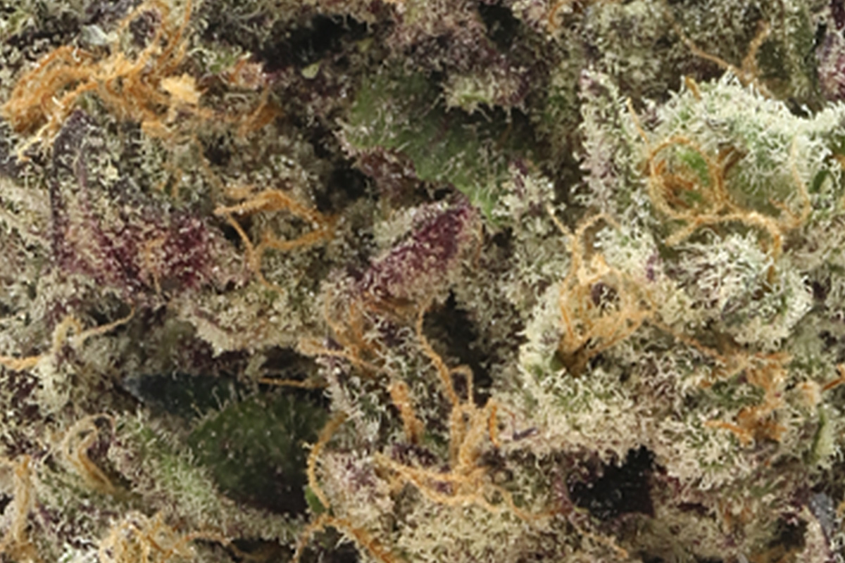 710 Labs 14g Flower - Rick Jamez #3 (mylar bag) - The Flowery Shop