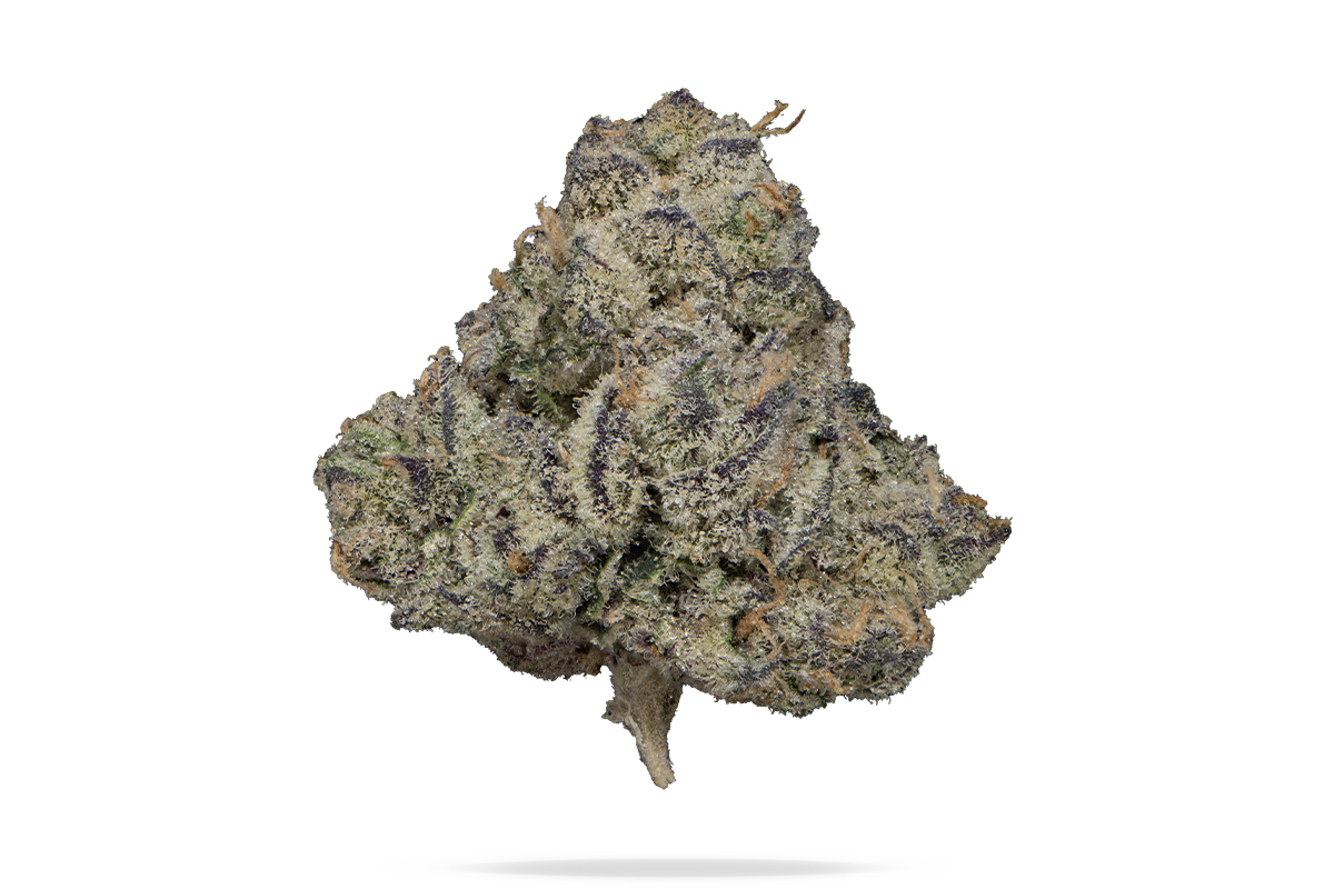 Super-Freak_710_8_MAIN.jpg