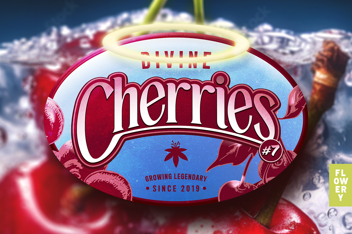 題名『Cherry』 Cherry Mints - 0872S | AmuseMints Sweets and Snacks - USA-Made