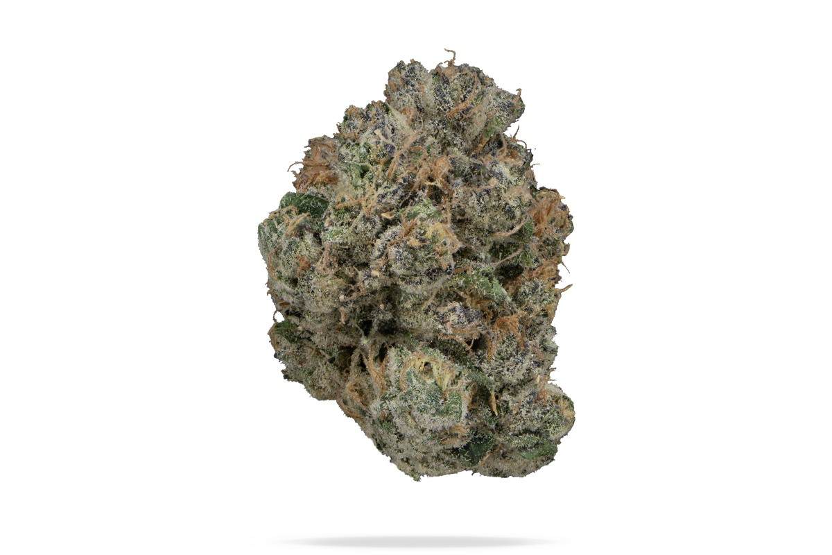 Daily Grapes Eighth - The Flowery Shop