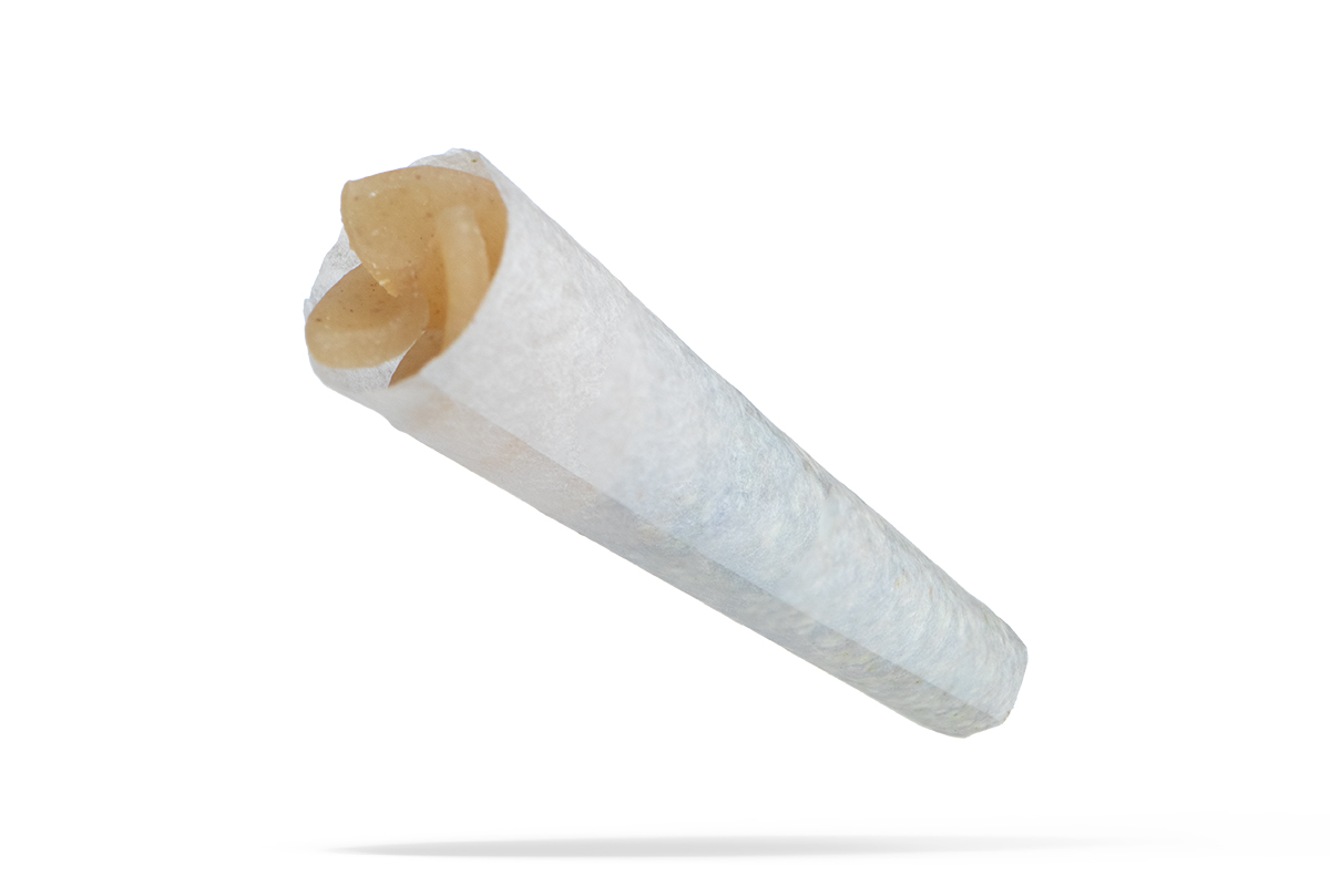 710-doink-2025_floating.jpg