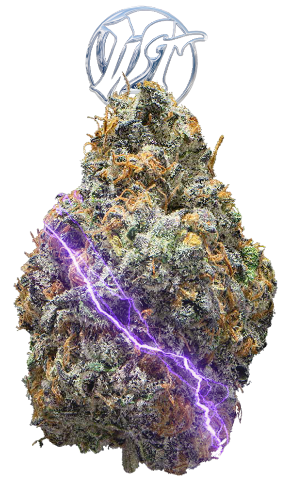 Route 65 Eighth - The Flowery Shop