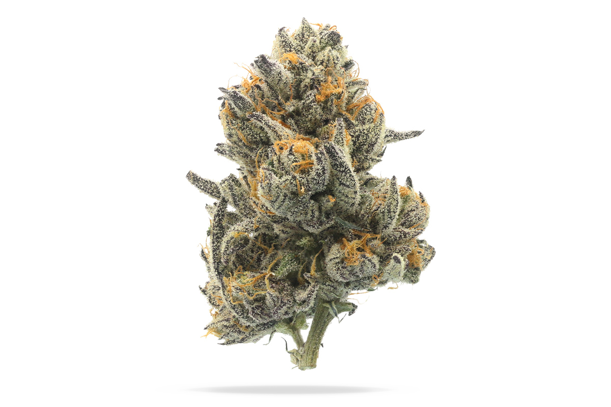 710 Labs 14g Flower - Piescream #7 - The Flowery Shop