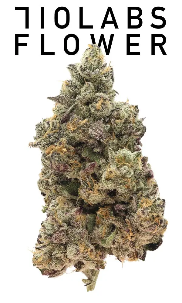 710 Labs 3.5g Flower - Rick Jamez #3 - The Flowery Shop