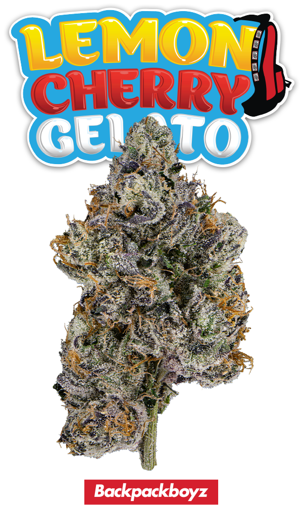 Lemon Cherry Gelato Eighth - The Flowery Shop