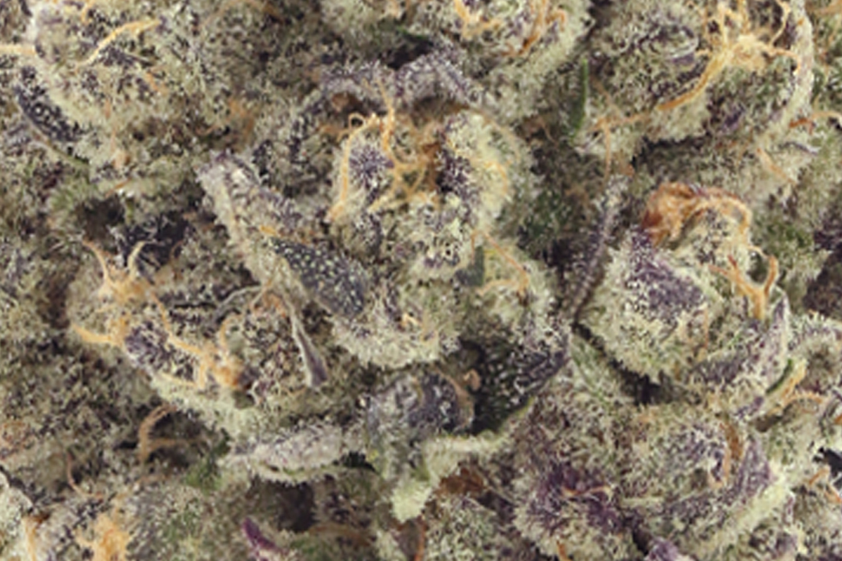 710 Labs 14g Flower - Super Freak - The Flowery Shop