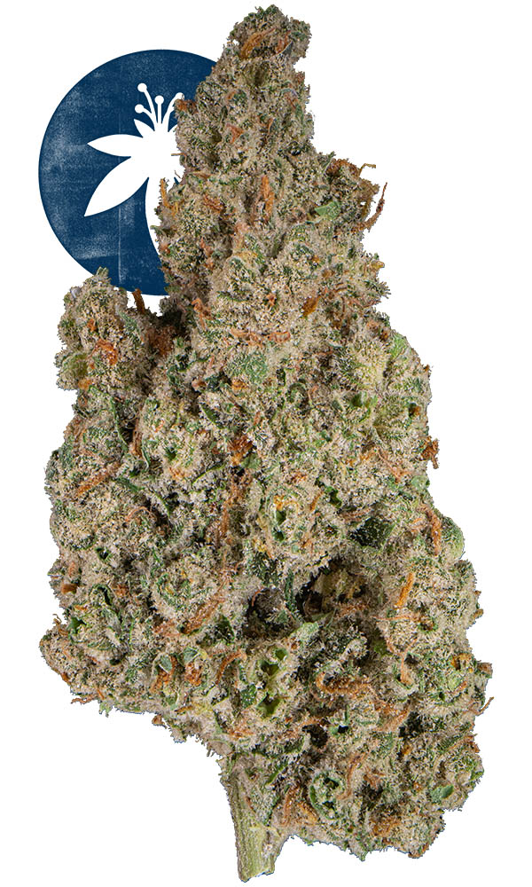Jack Herer Eighth - The Flowery Shop