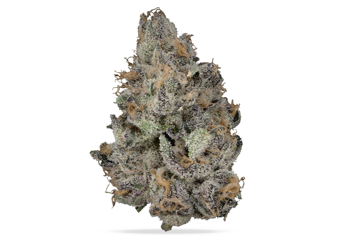 fumari tobacco review Fumari Hookah Tobacco Lemon Mint 100g – Tobacco Stock