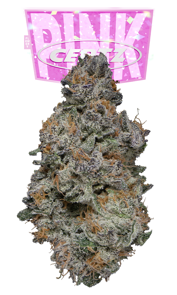 Pink Certz #10 Eighth - The Flowery Shop