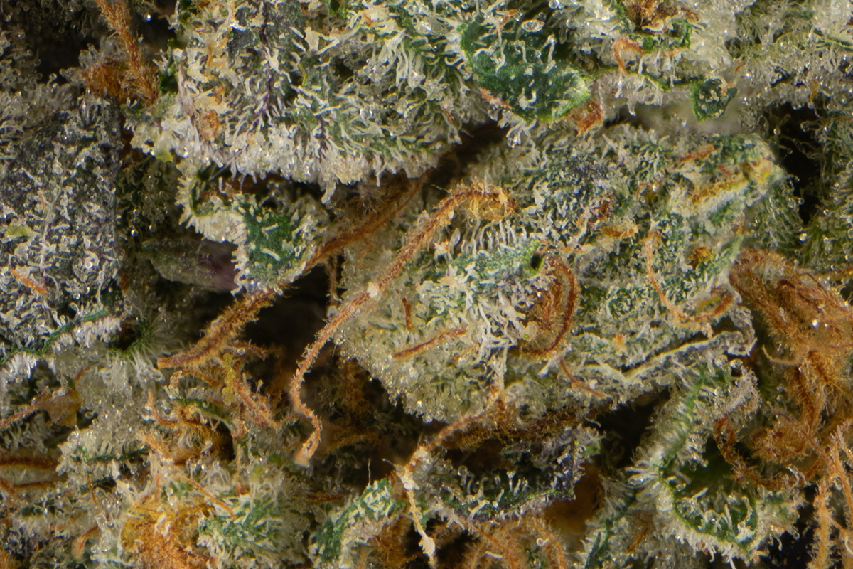 710 Labs 14g Flower - Cold Creek Kush - The Flowery Shop