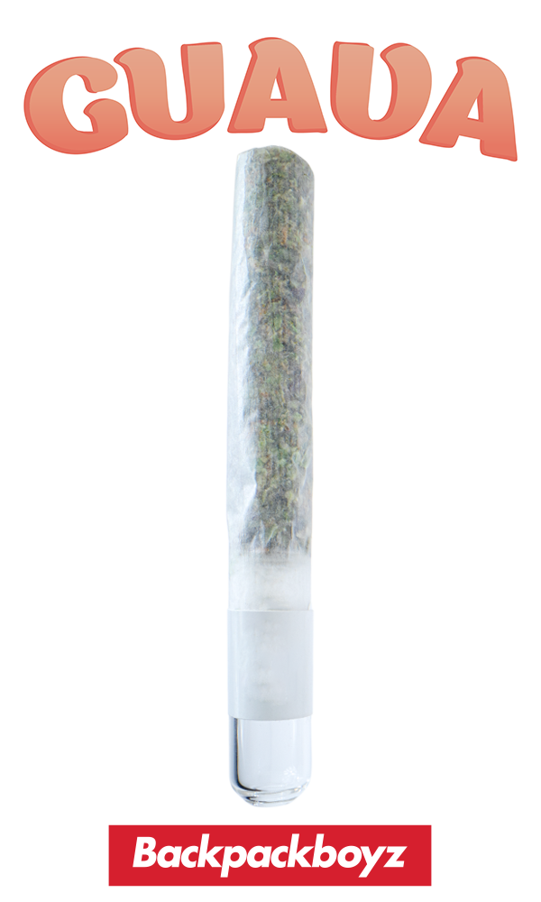 Backpack Boyz Handroll 1G - Guava - The Flowery Shop