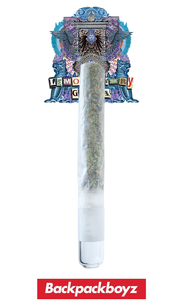 Backpack Boyz Handroll 1G - Lemon Cherry Guava - The Flowery Shop