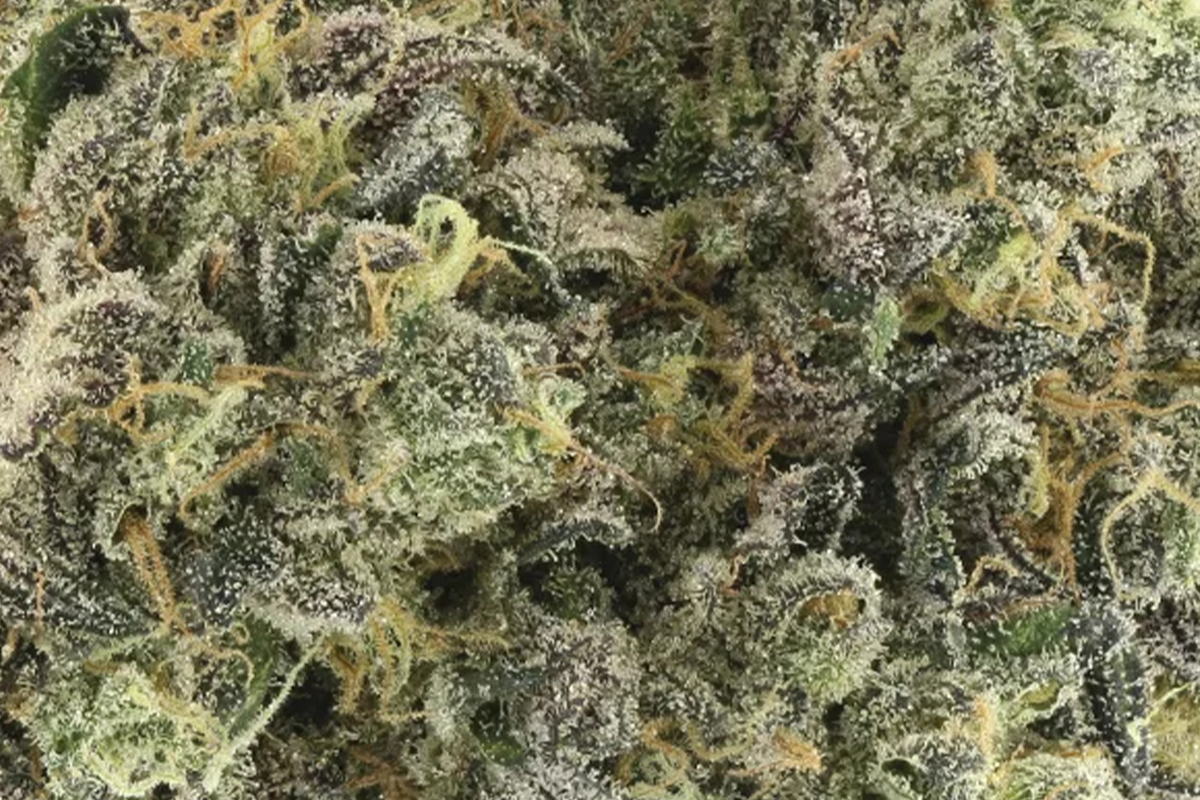 710 Labs 14g Flower - Britney's Frozen Lemons #5 - The Flowery Shop