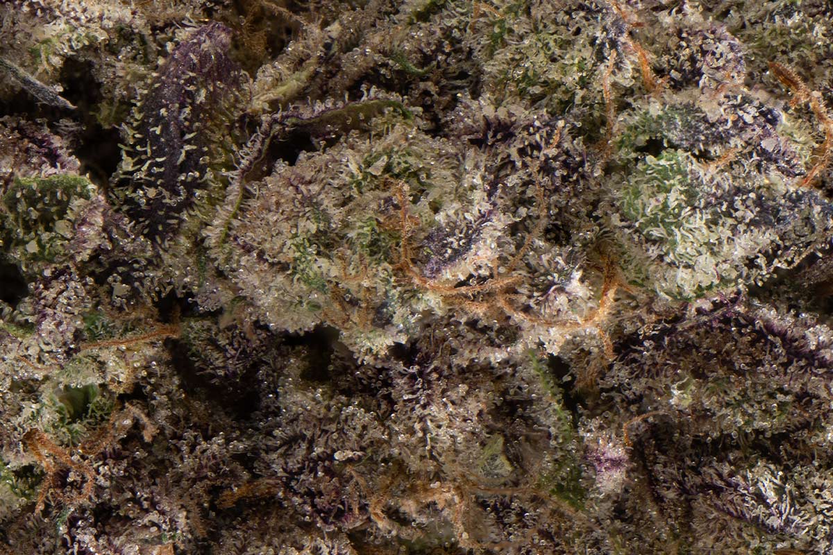 710-honey-banana-x-rick-james-
