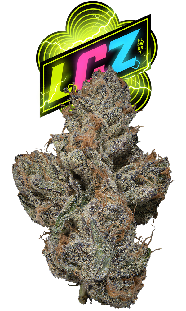 L.C.Z. Eighth - The Flowery Shop