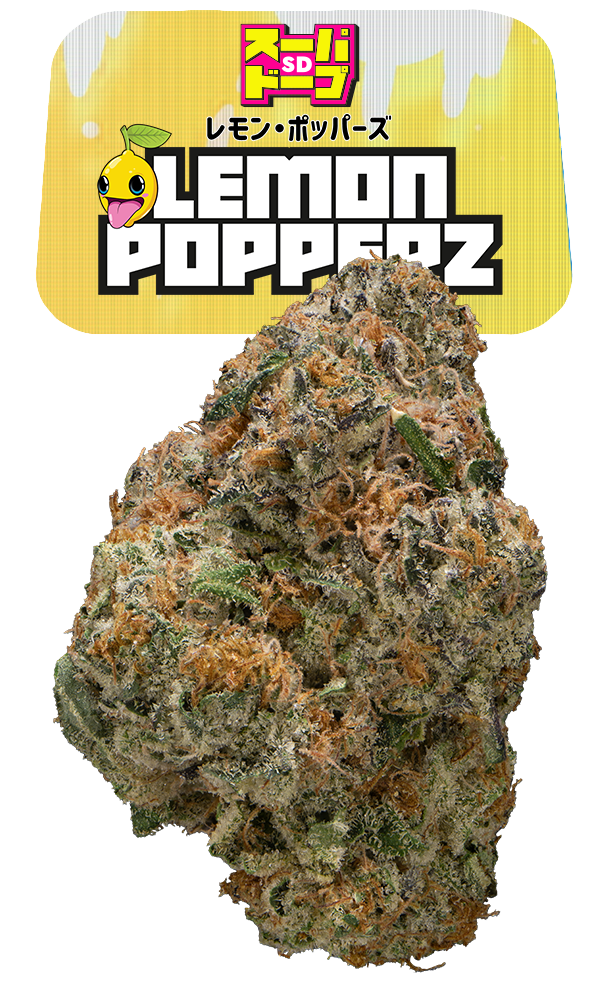 SD Lemon Popperz Eighth - The Flowery Shop