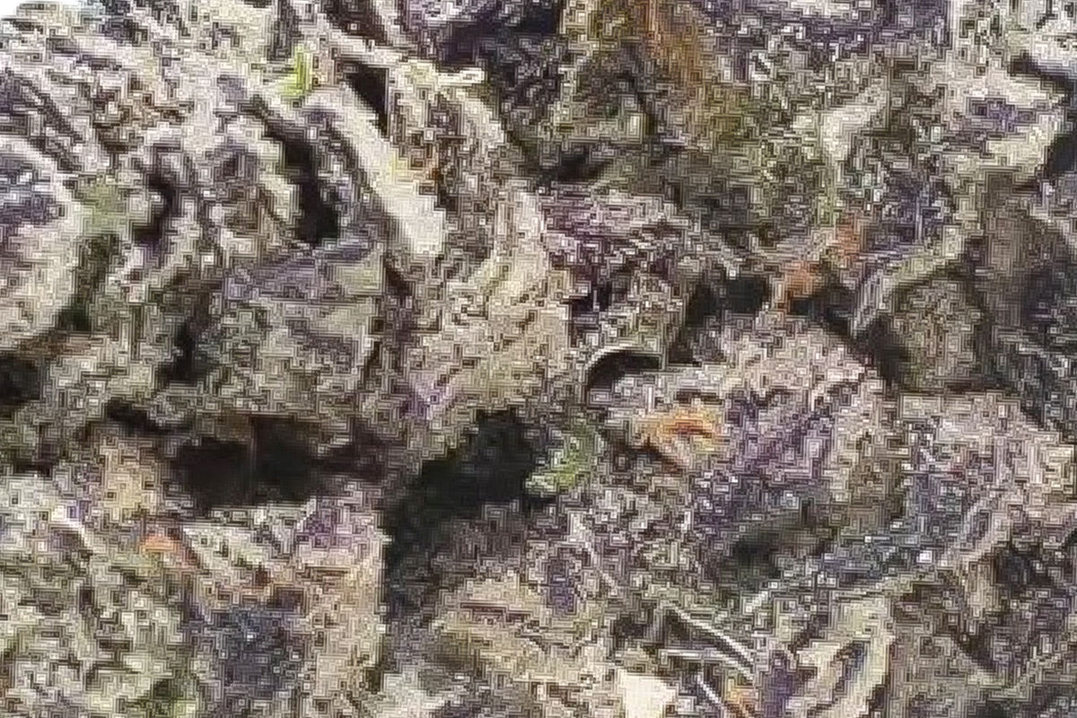710 Labs 14g Flower - Zimosa #2 - The Flowery Shop
