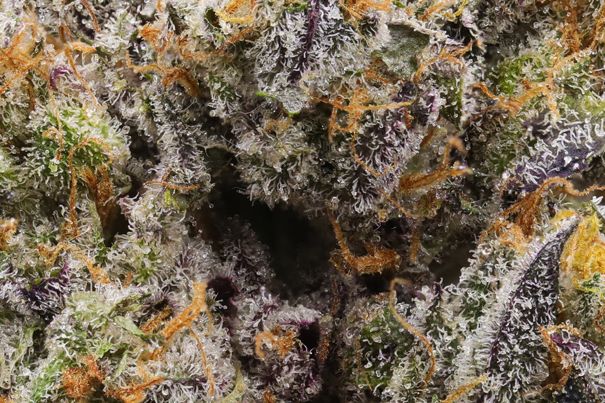 710 Labs 3.5g Flower - Zimosa #2 - The Flowery Shop