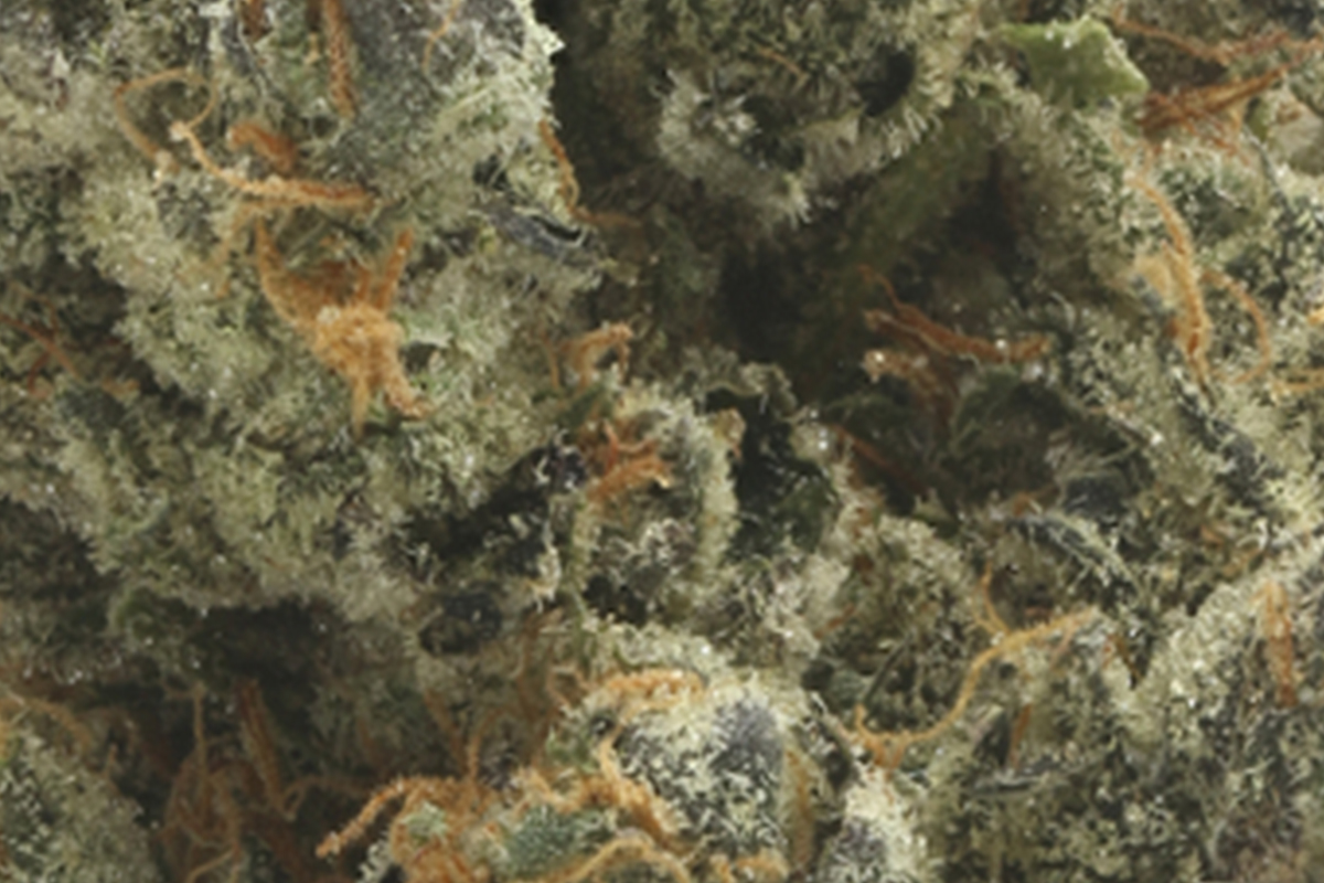 710 Labs 14g Flower - GG4 - The Flowery Shop