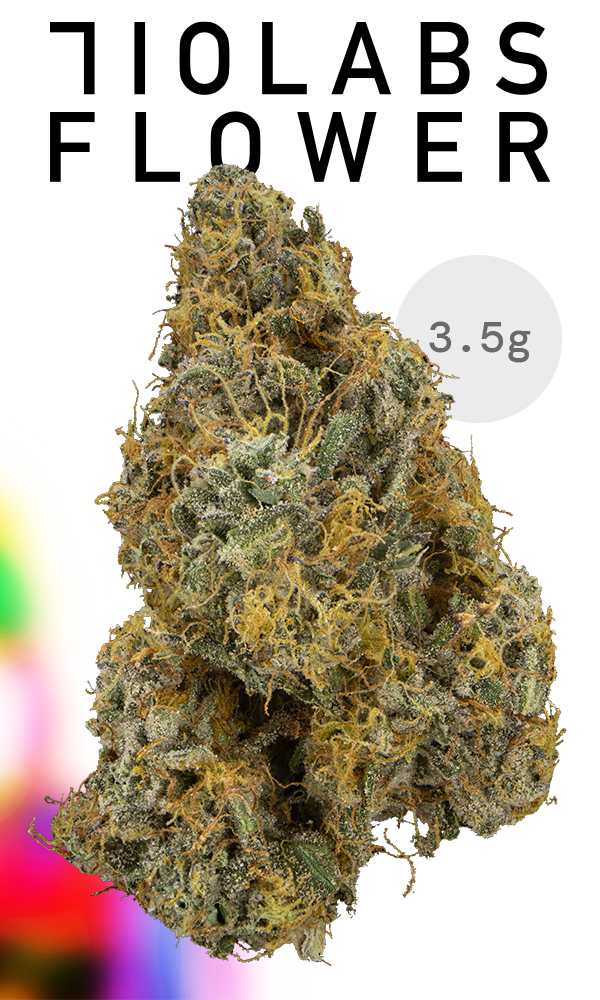 Floral Trend　SHBeastMaster MD 12000 710 Labs 3.5g Flower - Hazel Nut Piff #8 - The Flowery Shop