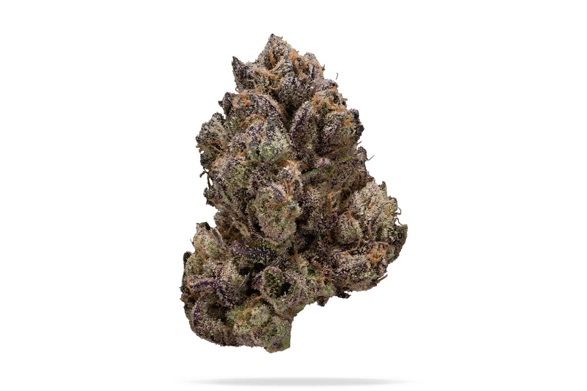 710 Labs 3.5g Flower - Banana Rickscotti - The Flowery Shop