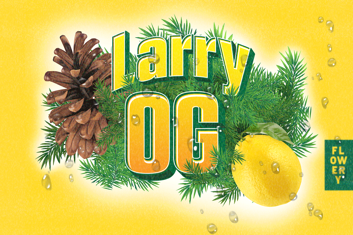 Larry OG Eighth (Glass Jar) - The Flowery Shop