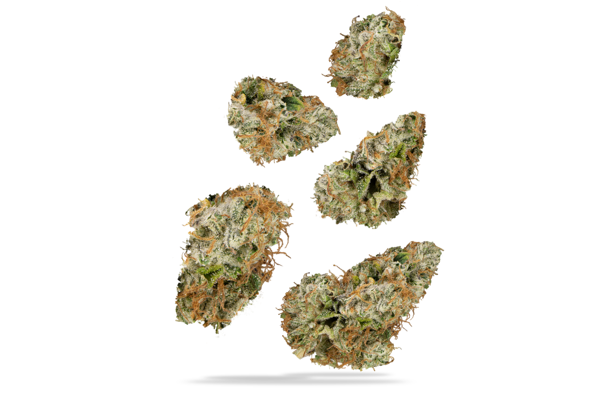 Nirvana #6 7g Juniors - The Flowery Shop